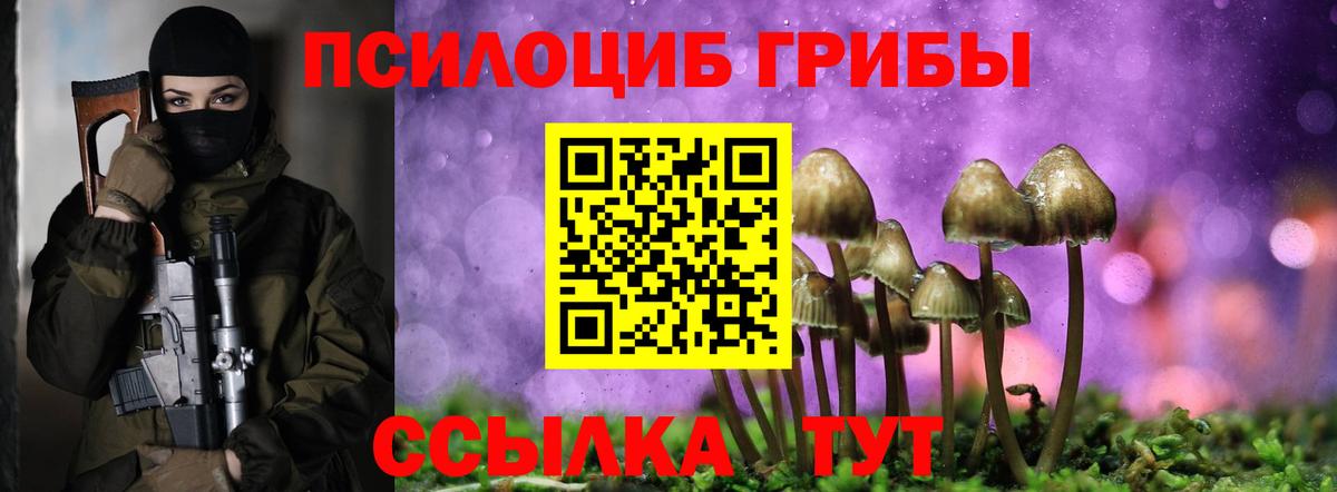 Мценск  Псилоцибиновые грибы Cubensis  Вход с VPN  Псилоцибиновые грибы Psilocybine cubensis 