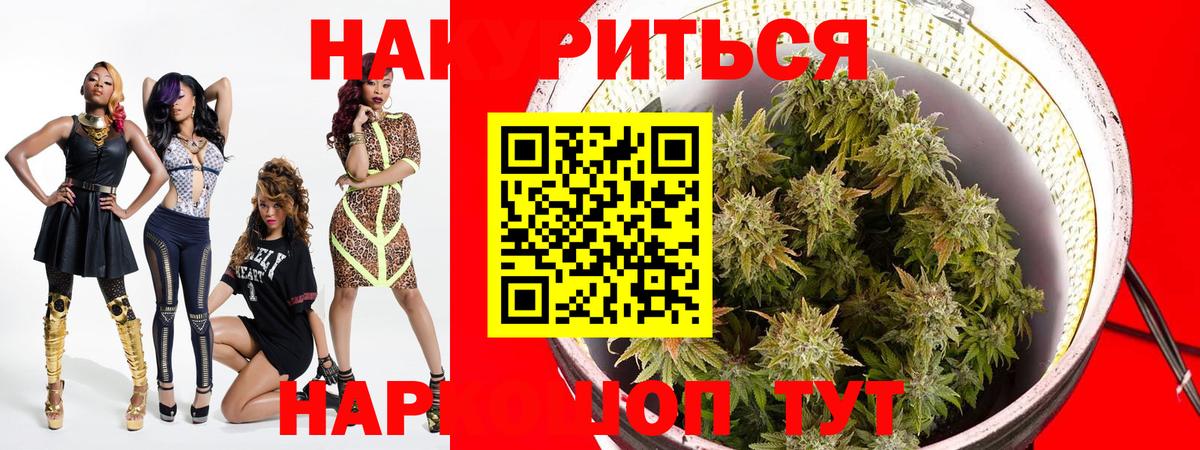Шишки марихуана Amnesia Мценск